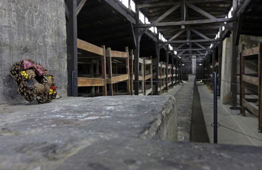 Auschwitz Day Trips from Prague