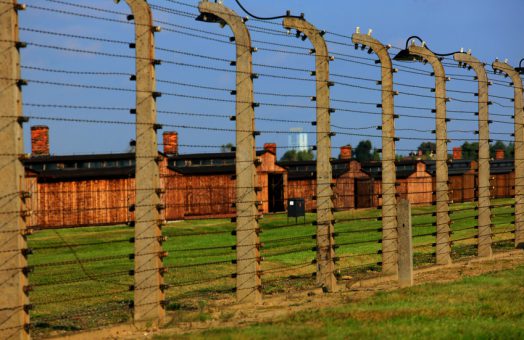 Auschwitz Day Trips from Prague