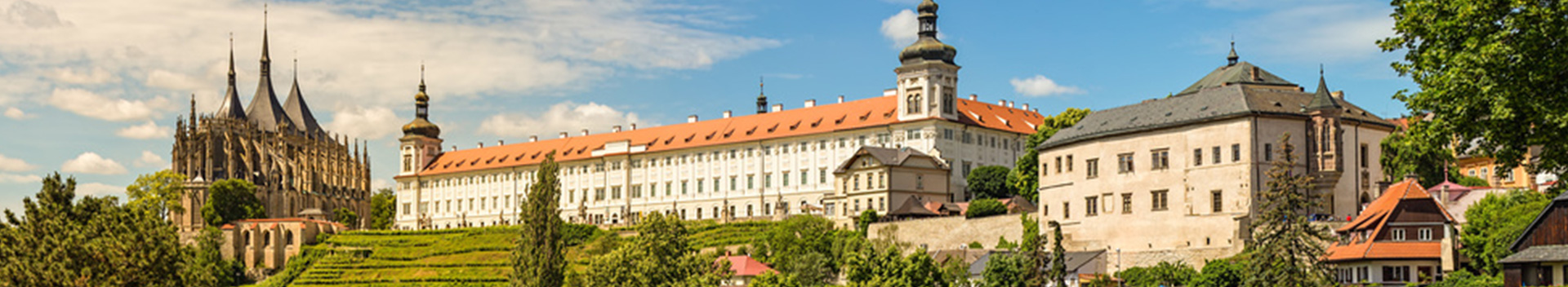 Bone Church & Cesky Krumlov Tours from Prague