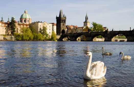 prague tours: charles bridge